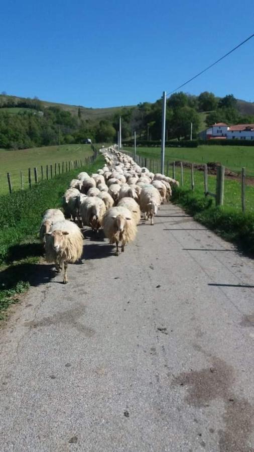 Gite A La Ferme Larranda Suhescun Exterior photo